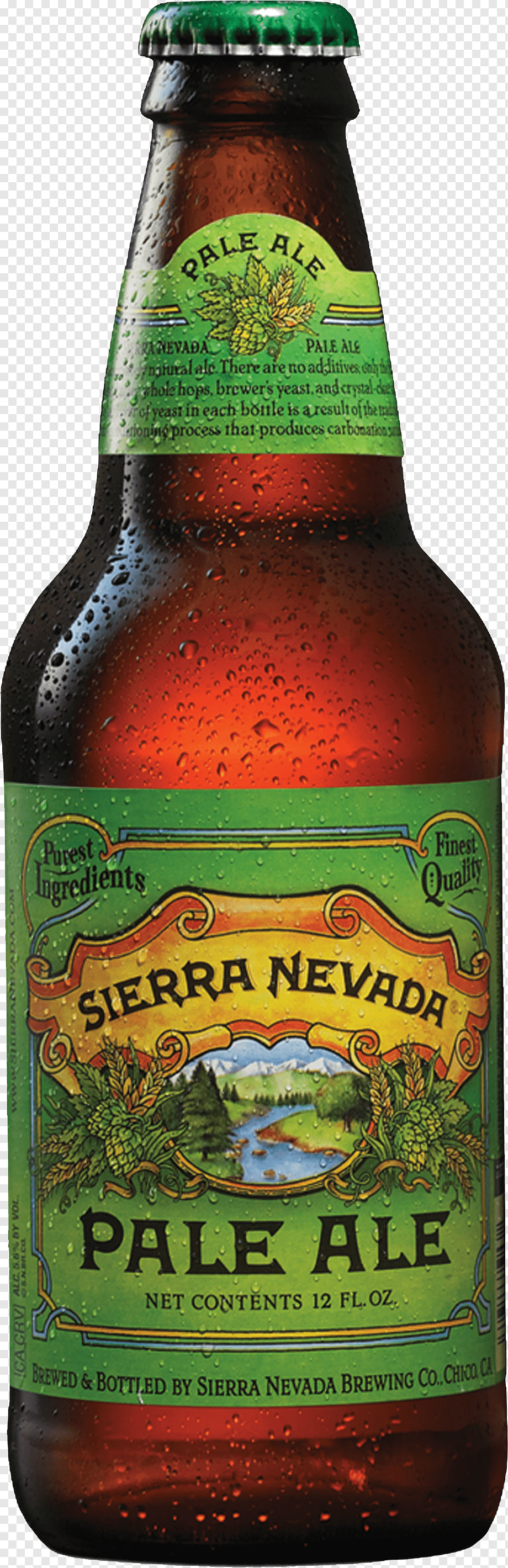 Sierra Nevada pale Ale - Sierra Nevada Brewing - 19.2 oz can