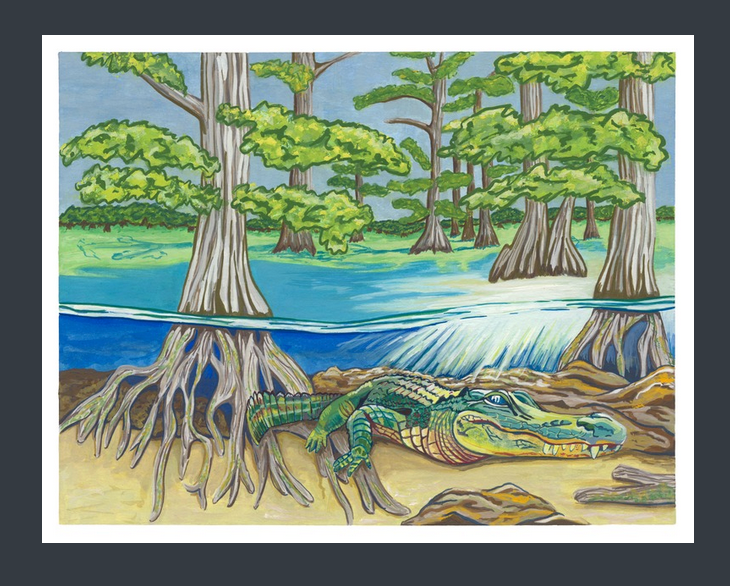 Lagniappe Wines Fizzy Lizzy Swampwater Pet Nat White 750ML V