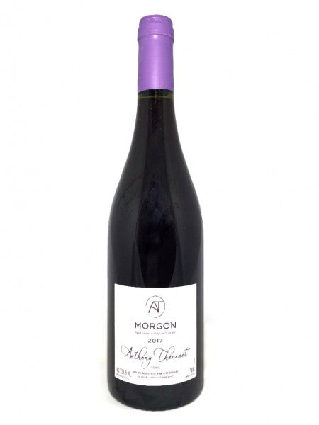 Anthony Thevenet Morgon Beaujolais 750ML N